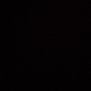 Meet your Posher, Larry